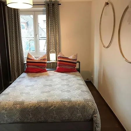 * La Petite Alsacienne * Apartment Ammerschwihr