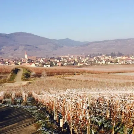 Apartment * La Petite Alsacienne * Ammerschwihr